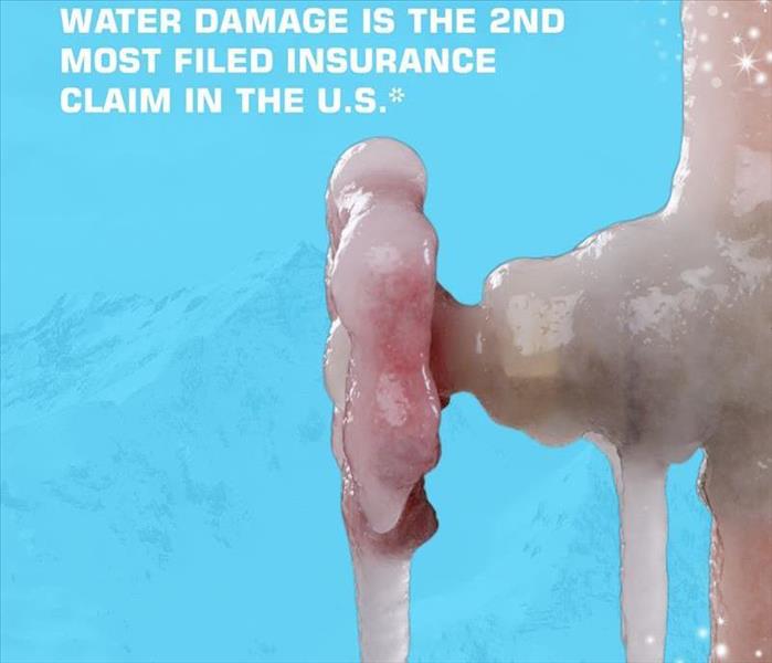 Water damage is the 2nd most filed insurance claim in the U.S.